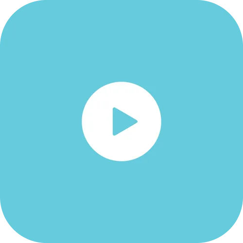 Video stream player